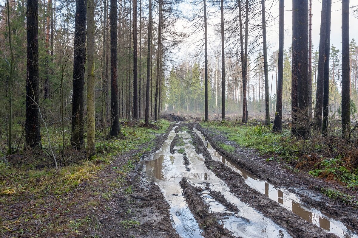 Ноябрьская распутица - Валерий Иванович