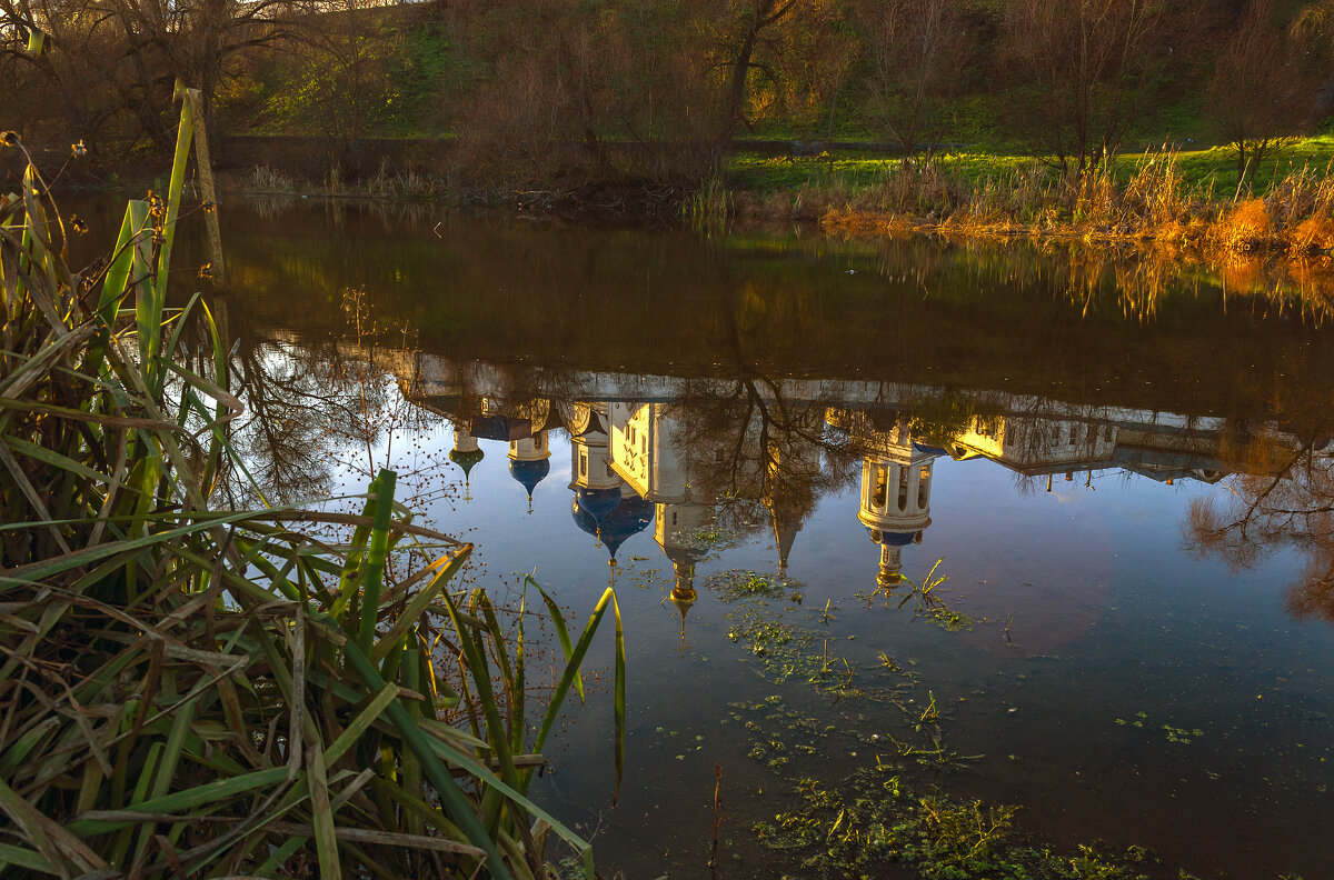 Отражение - Сергей Цветков
