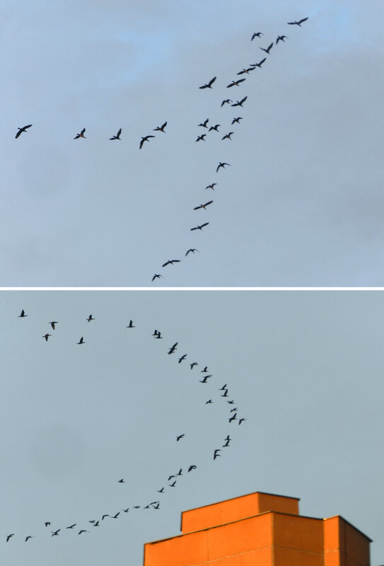 на юг - Лера 