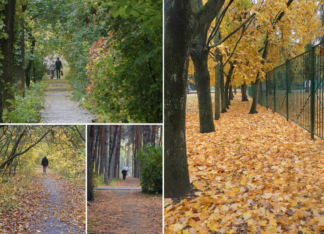 осенний портал - Лера 