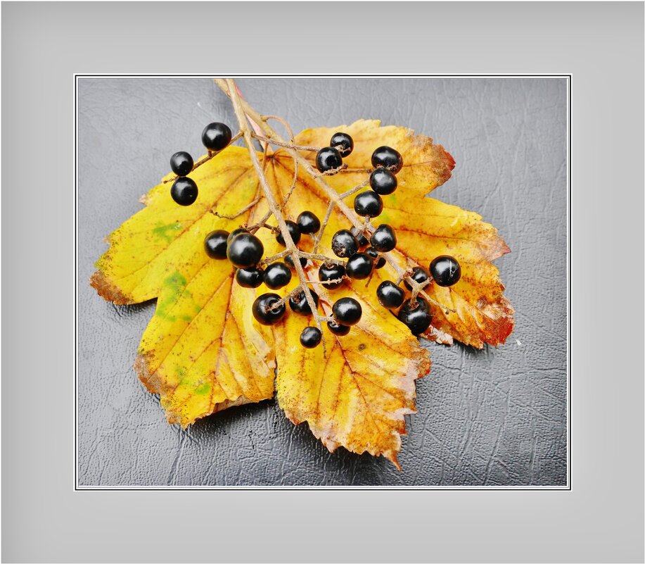 ОСЕННЕЕ... - Elvira E. 