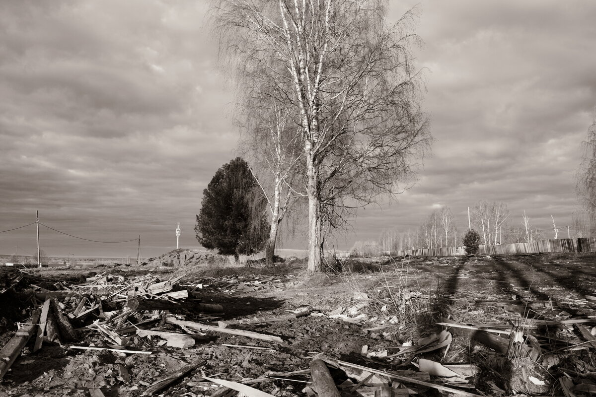 Фотография - Денис Безногов