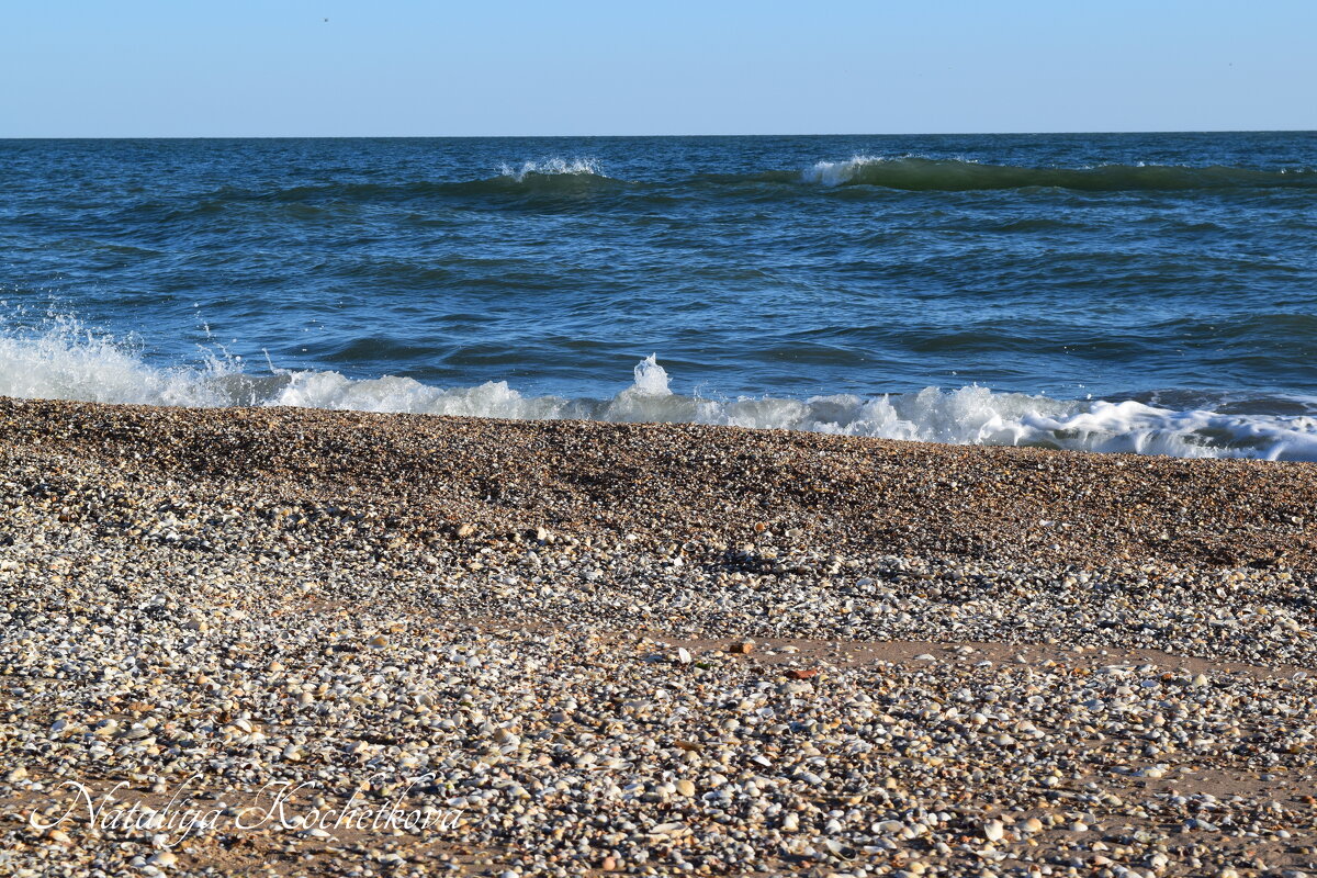 Природа Крыма - Amazing Cosmea