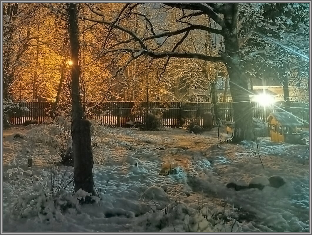 Вечер на даче - Ольга Довженко