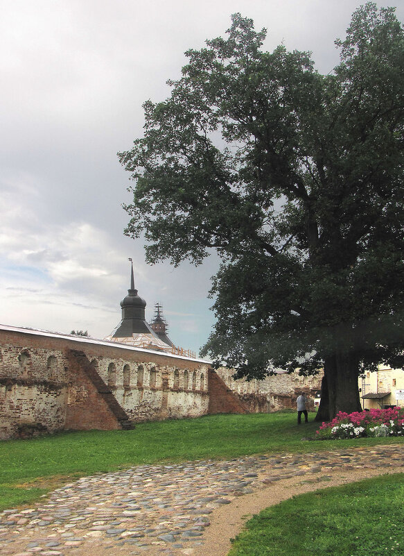 Двухсотлетний дуб - Александр Ильчевский 