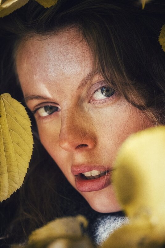 *** - Александр Змеев