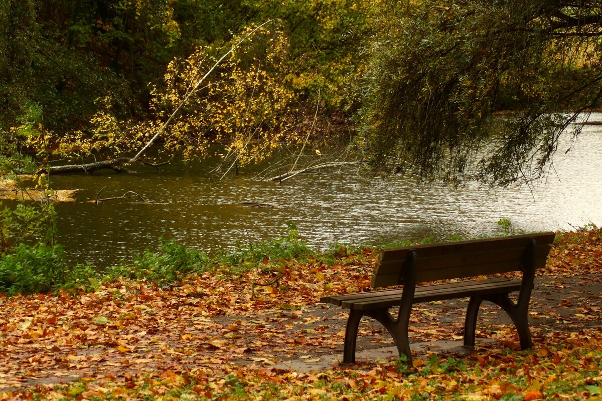 Осенняя скамейка - Юрий. Шмаков