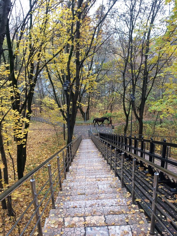 Вместе весело шагать - Галина 