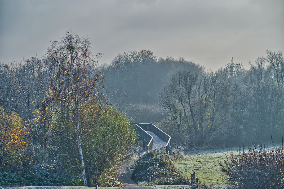 21.11.2025 Туманное утро ... - Jakob Dick