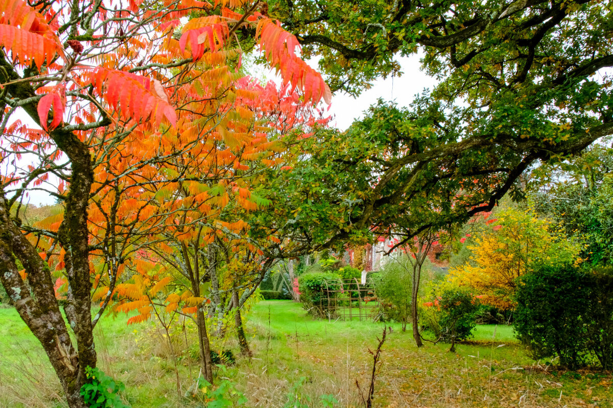 Осень в парке замка - Георгий А