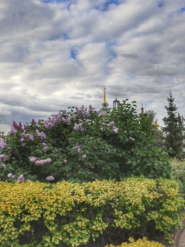 Городские зарисовки - Irene Irene