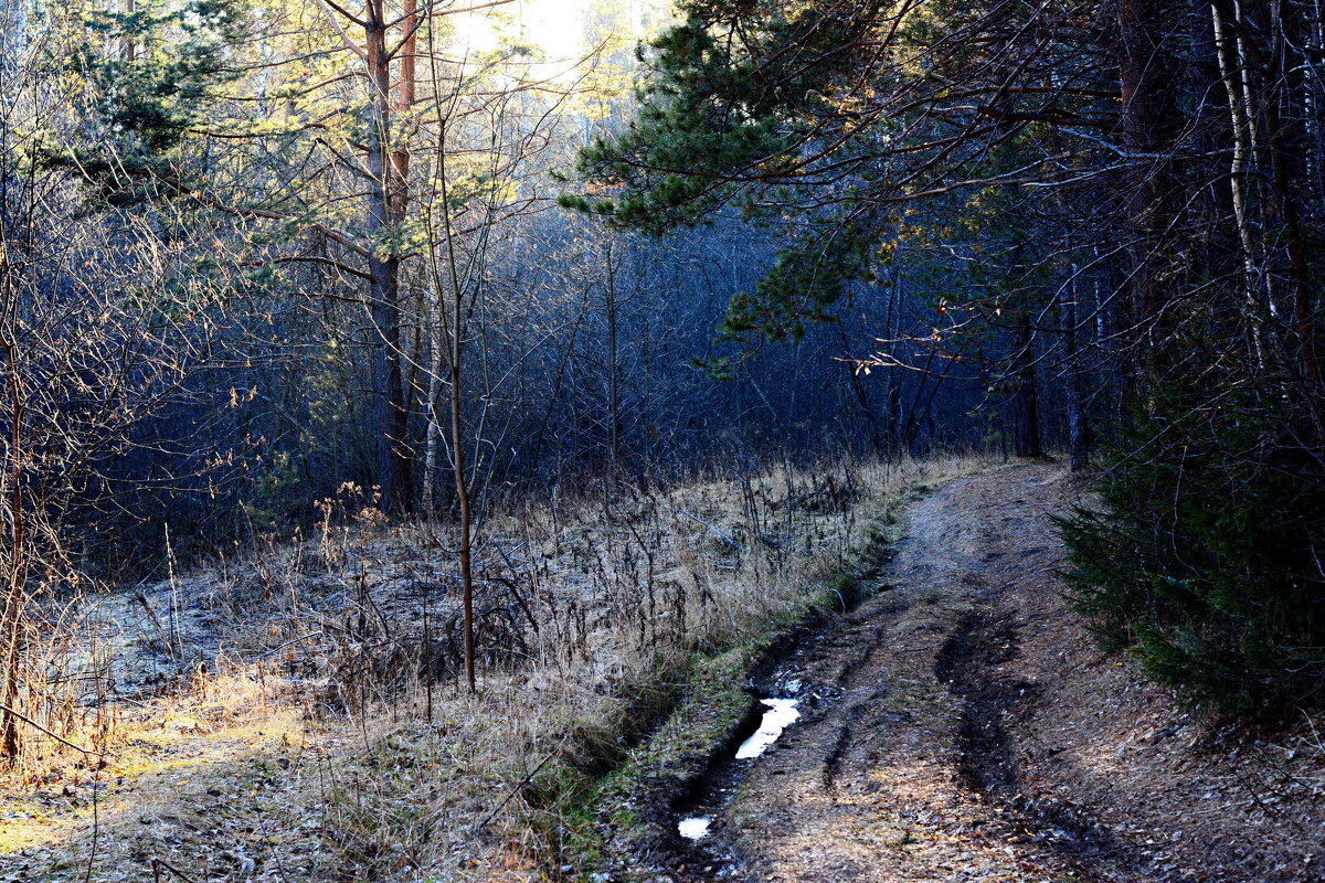 *** - Александр 