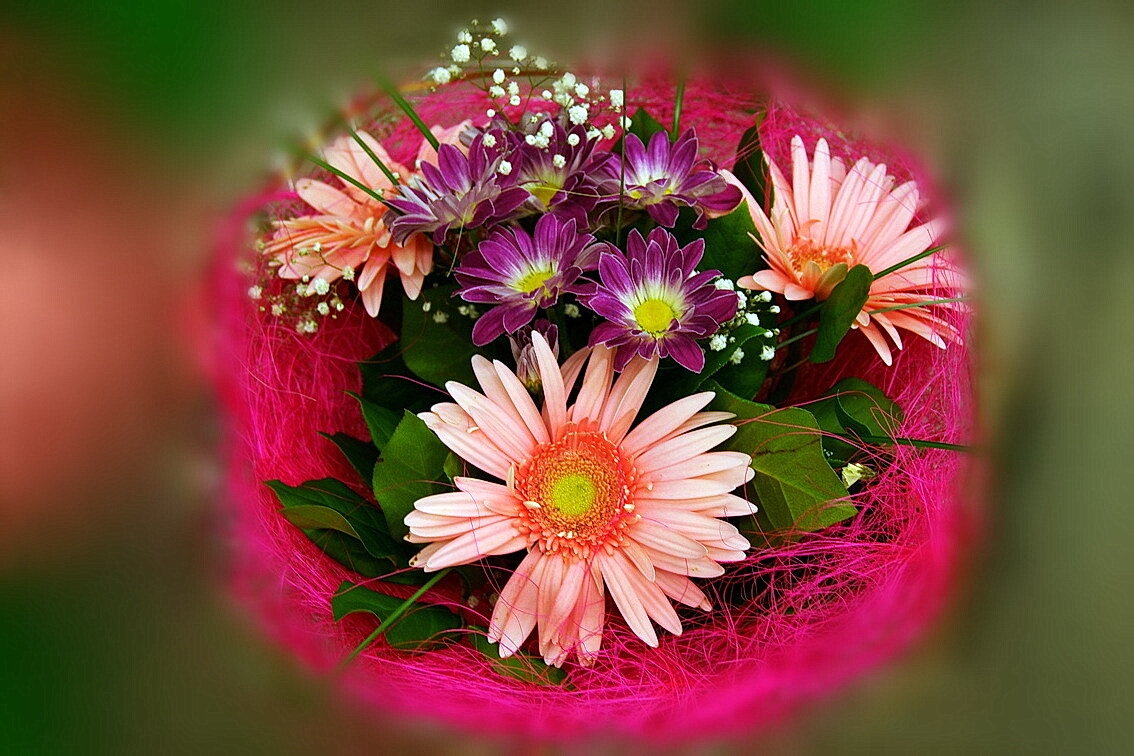 Просто букет...)) - Игорь Тельцов