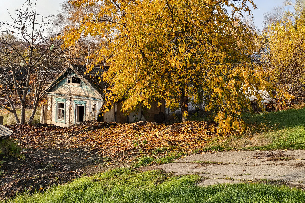 *** - Валерий Ткаченко
