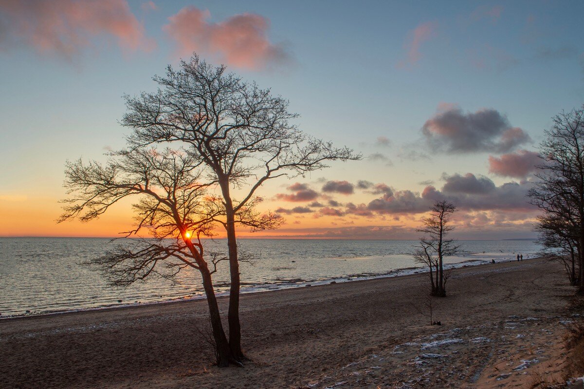 Вечерний променад....... - Юрий Цыплятников