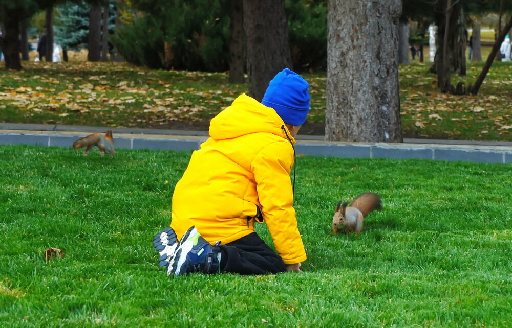 Как, скажи, тебя зовут? - Владимир Насыпаный 