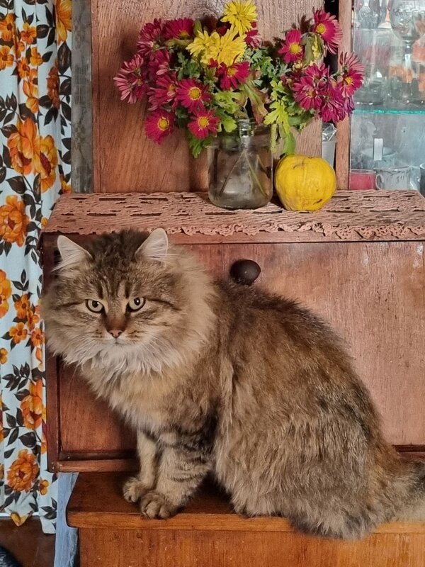 Портрет в интерьере :) - Наталья 