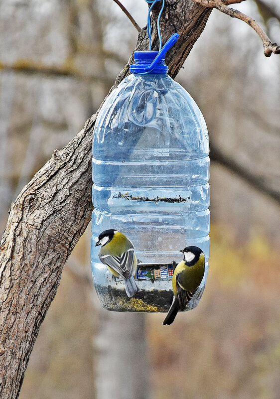 Ты скоро?! - Валентина  Нефёдова 