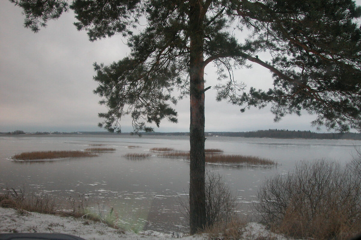 Одиночество в начале зимы... - Наталья Лунева Одиночество в начале зимы... - Наталья Лунева