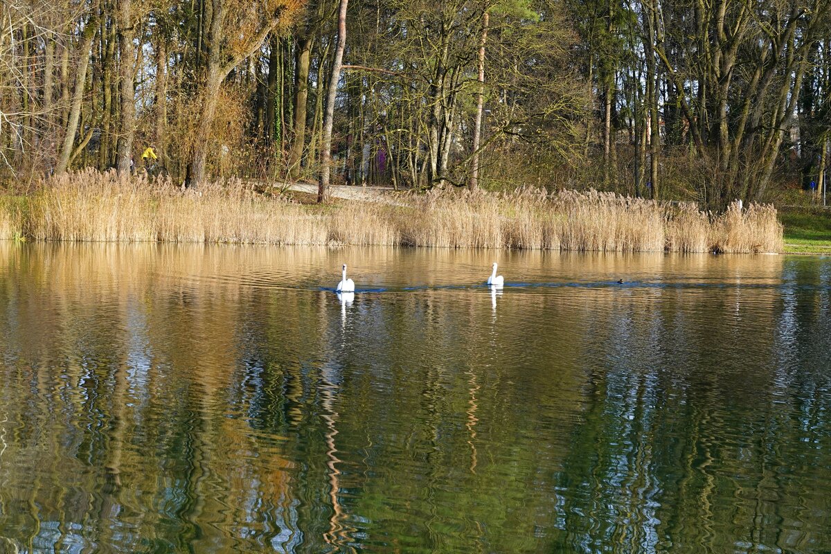 УХОДЯЩАЯ ОСЕНЬ ... - Галина 