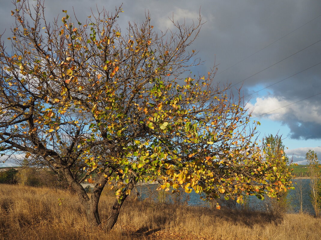 на берегу - Всеволод 
