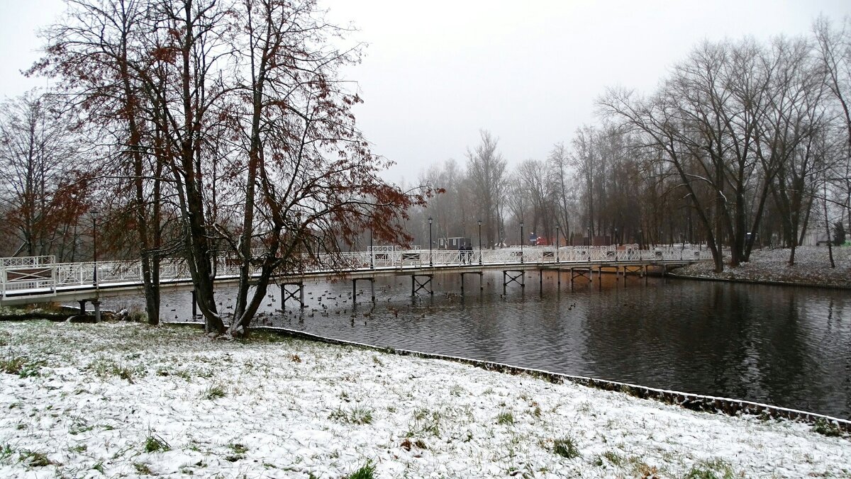 Туманным утром ноября. - Милешкин Владимир Алексеевич Туманным утром ноября. - Милешкин Владимир Алексеевич