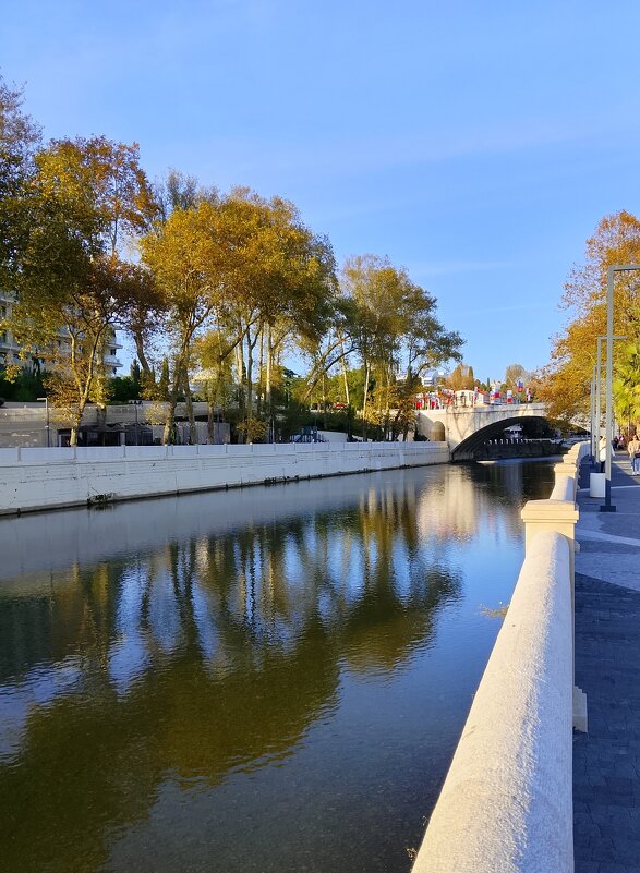 Река Сочи - Tata Wolf