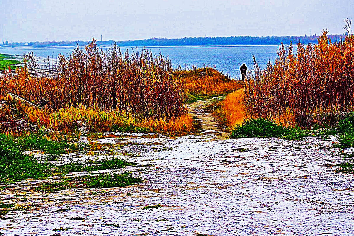 Октябрь...Пора предзимья на Юганской Оби. - Владимир Октябрь...Пора предзимья на Юганской Оби. - Владимир