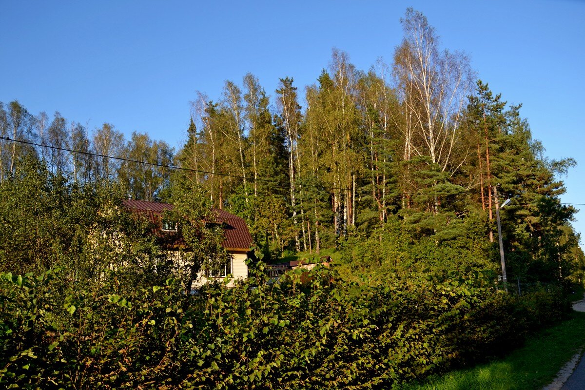 ПУШКИНСКИЕ ГОРЫ - Виктор Осипчук