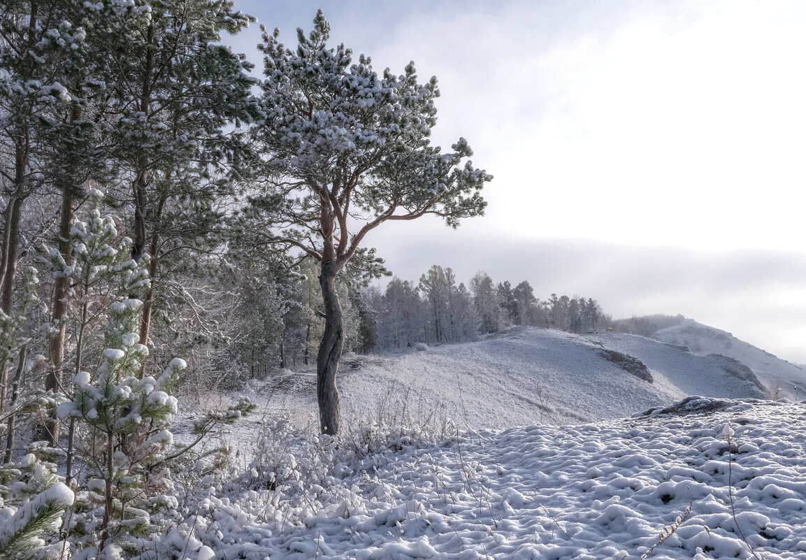 Торгашинский хребет - Марина Фомина.