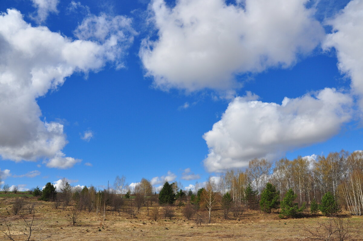 Небо. - Михаил Колосов Небо. - Михаил Колосов