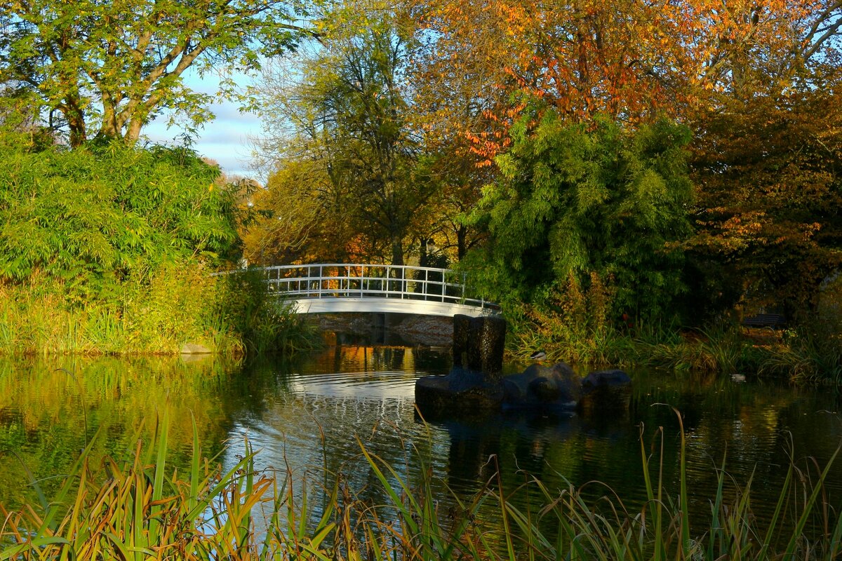 Белый мостик - Юрий. Шмаков