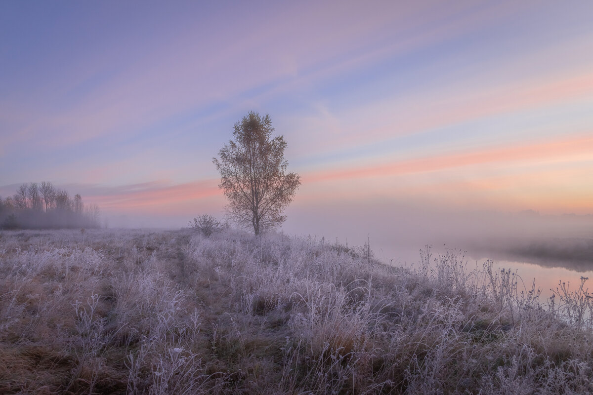 **** - Елизавета .