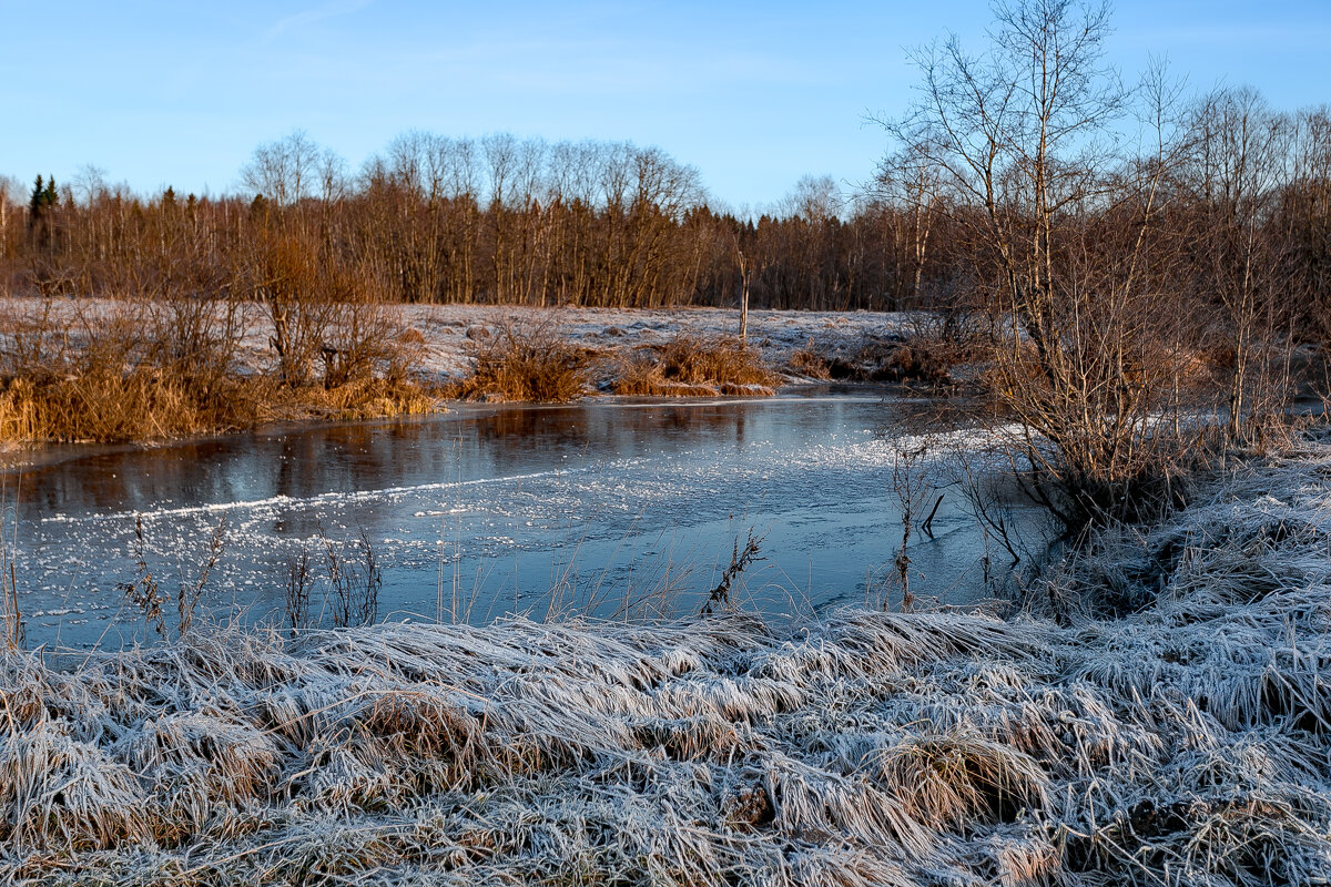 Ноябрь - Александр Силинский
