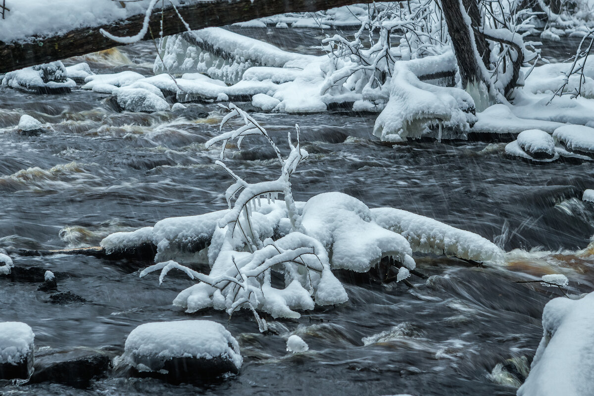 Межсезонье - Владимир Колесников