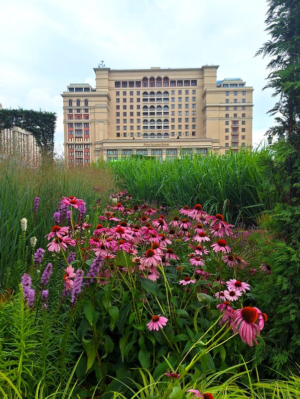 Москва - Наталья 