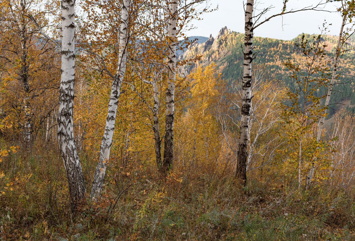 Осенней порой - Сергей Герасимов Осенней порой - Сергей Герасимов