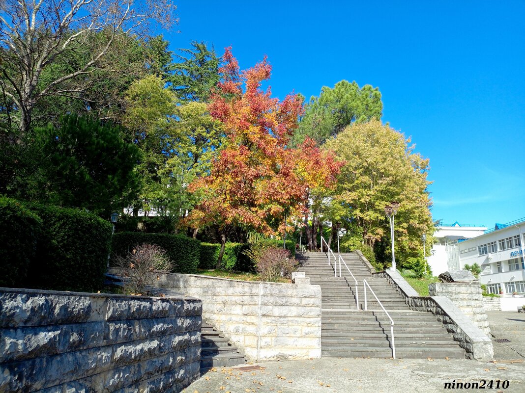 Адлер. Пансионат "Орбита" - Нина Бутко Адлер. Пансионат "Орбита" - Нина Бутко