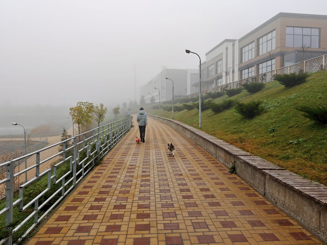 Ростовские зарисовки - Александр Гапоненко
