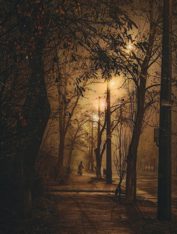 Ноябрь - Александр Змеев