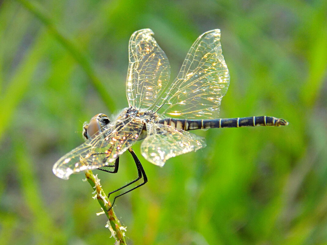 Отблески уходящего дня... - Константин Штарк