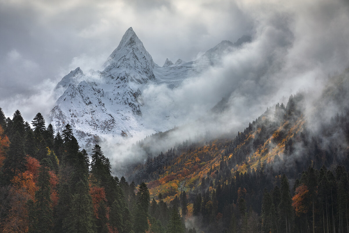 Домбайская осень. - Юрий 