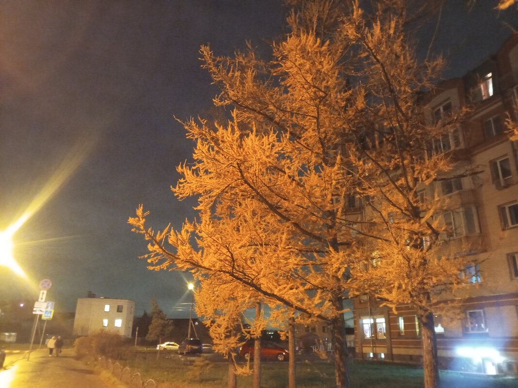 Осень - Сапсан 