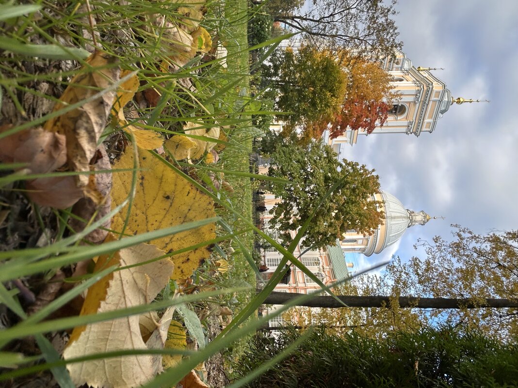 Мой город - Марина Панькина