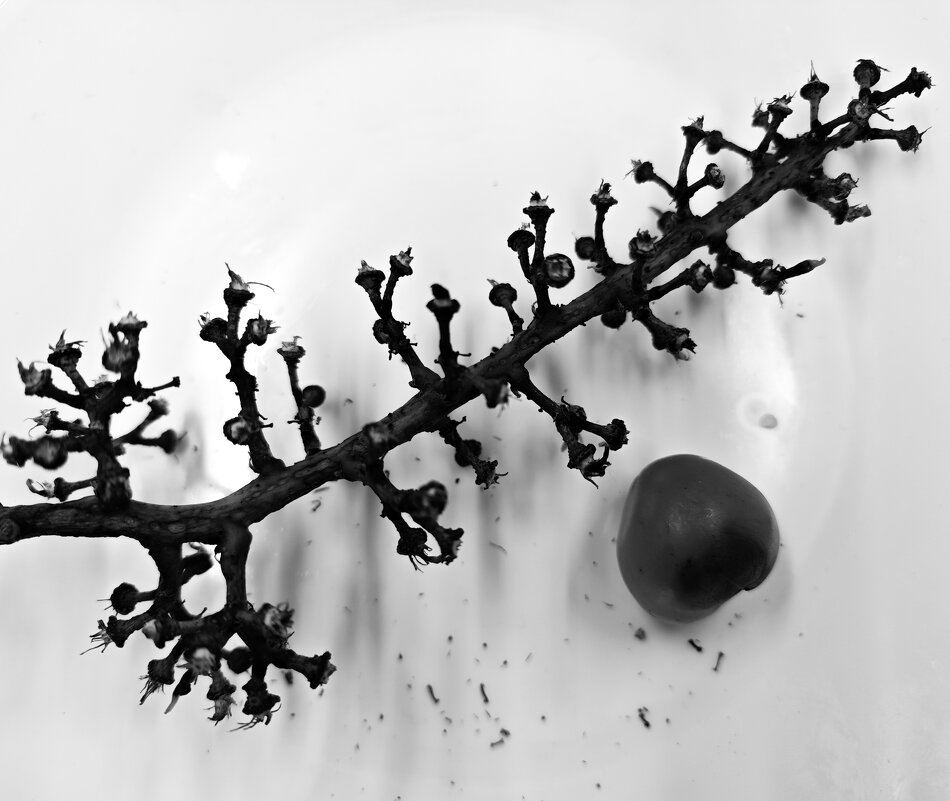 ... - Станислав Мутовин