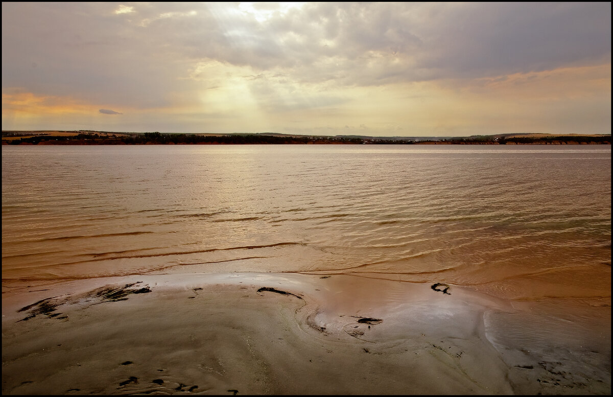 Волга - **** vedin