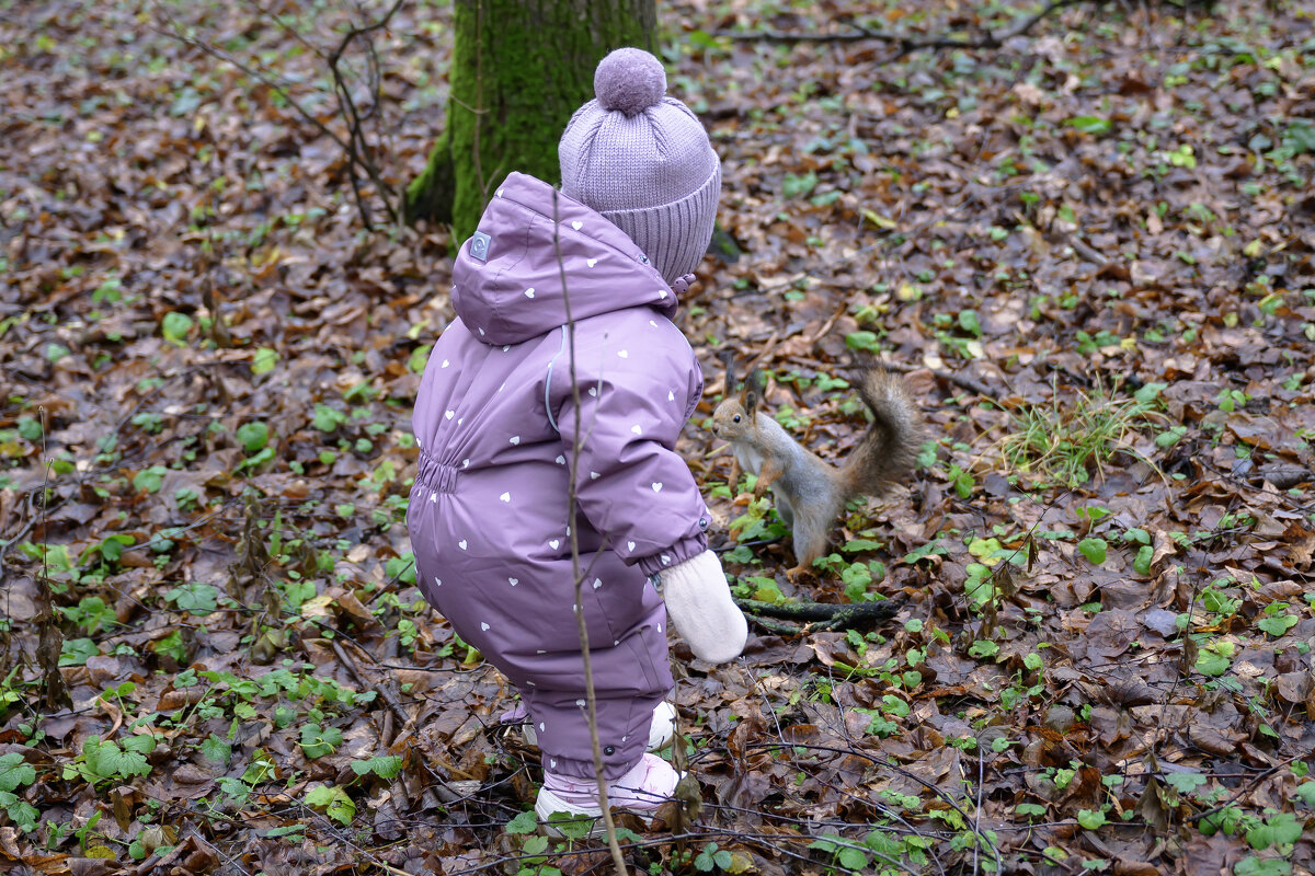 Малыш и белка. - Валерий Пославский