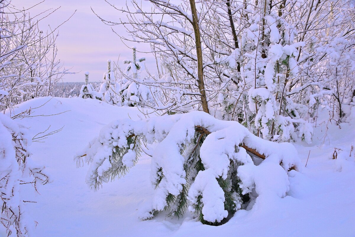 - - Владимир Мигонькин