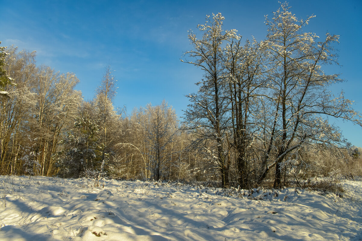 Ясный день. - Николай 