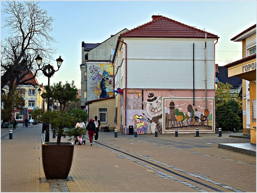 В городе котов и кошек. - Валерия Комова